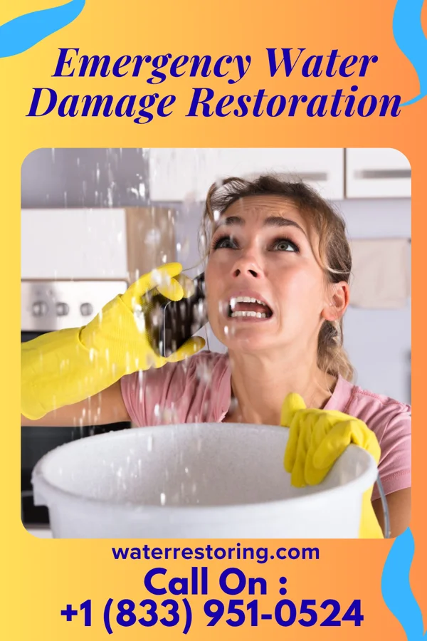 Emergency Water Damage Restoration in Elizabeth, IL