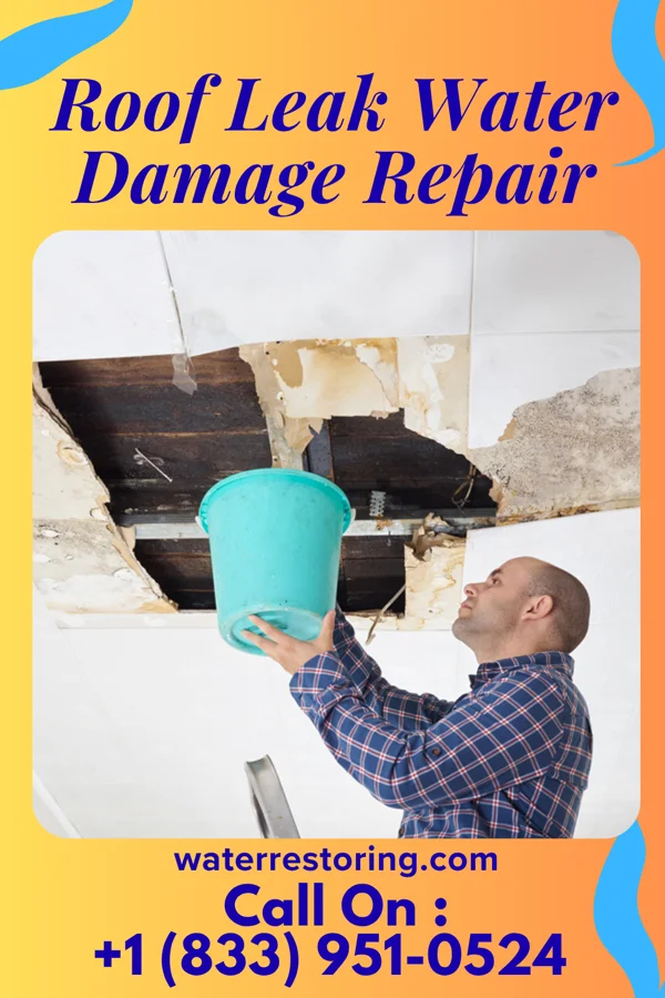 Roof Leak Water Damage Repair in Elizabeth, IL