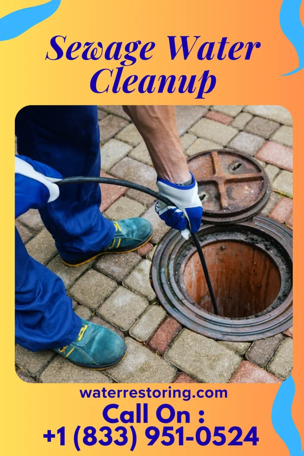 Sewage Water Cleanup in Elizabeth, IL
